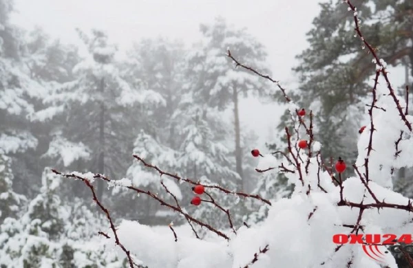 Rusiyada qar yağıb