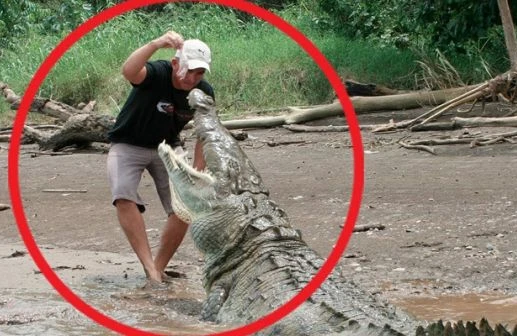 Babasının dəfninə gəldi, TİMSAHLARA YEM OLDU - Dəhşətli hadisə