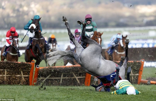 Dəhşətli görüntü: Əsəbi at jokeyin belini qırdı