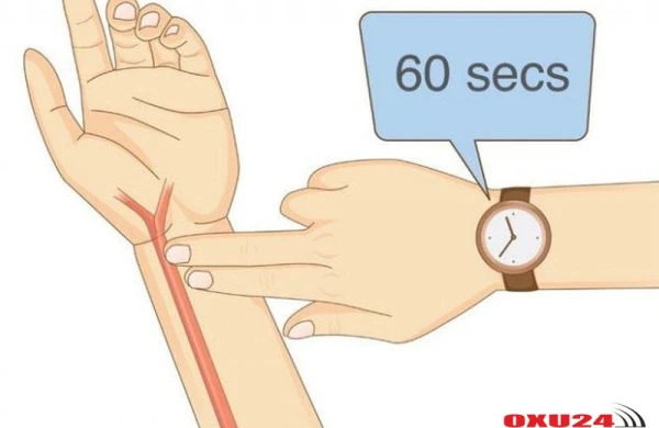 Ürəyinizin döyüntü sayı bu xəstəliklərdən xəbər verir - Türkiyəli kardioloq açıqladı