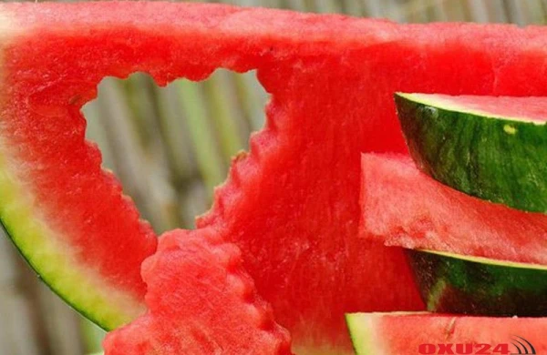 Süd vəzinin mastopatiyası xəstəlik deyil