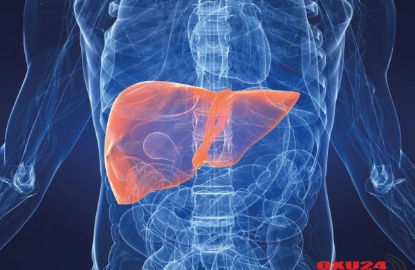 Qara ciyərdə xəstəliyin olmasını necə bilmək olar?