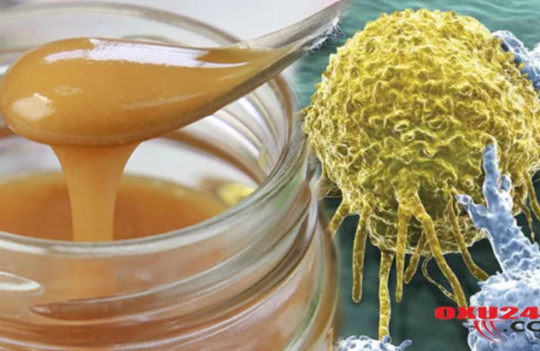 Bir qaşığı ilə xərçəngin öhdəsindən gələ bilərsiniz - MÖCÜZƏVİ FAYDALARI