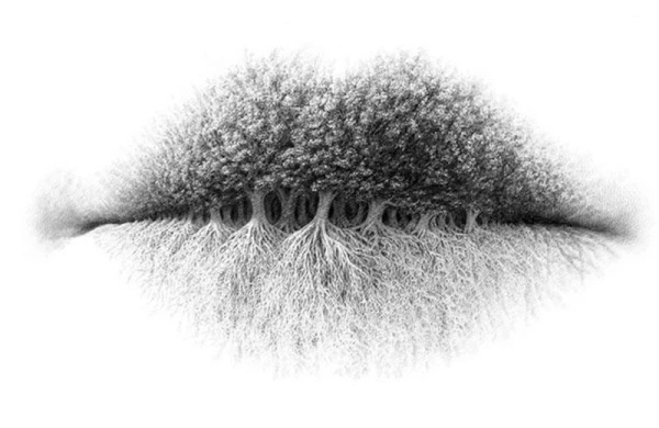 Bu şəkildə nə görürsünüz? - Cavablar xarakterinizi müəyyənləşdirir - FOTO