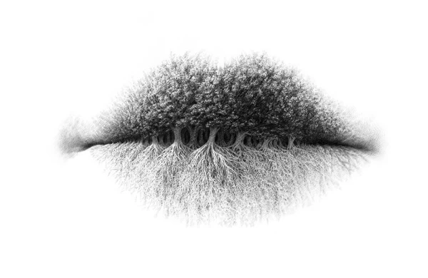 What You See FIRST In This Image Reveal Truths About Your Personality.