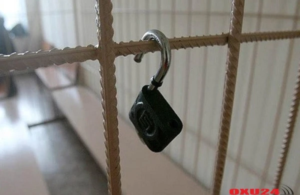 "Arvadının qızıllarını gətir..." - İranlı iş adamının müdhiş dəstəsi