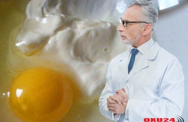 Dərini cavanlaşdıran kokos və yumurta maskası