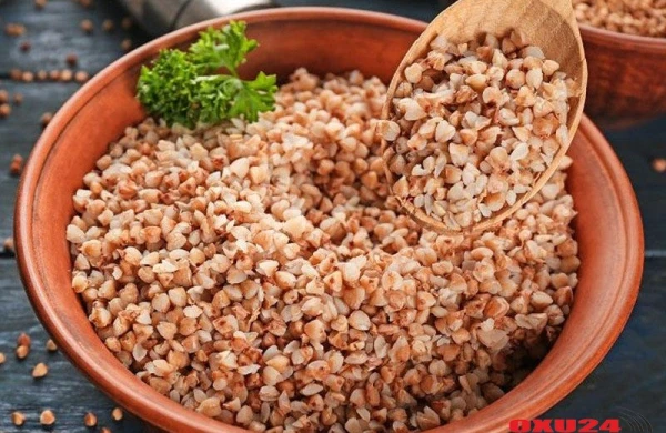 Həftədə 3 dəfə qarabaşaq yeməyin 7 faydası – Bu xəstəliklərdə müalicədir