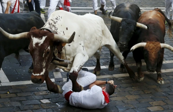 Dəhşətli görüntü: Əsəbi öküz restorana girdi,görün nələr oldu