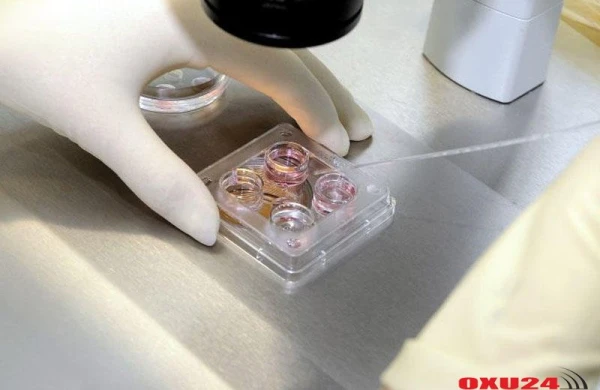 SAĞLAMLIQ Yeni naməlum ölümcül virus aşkar edildi