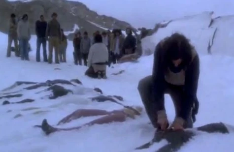 72 gün dostlarını yeyərək sağ qaldılar - Qəzaya uğraya təyyarədə şok