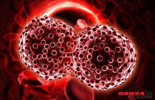 Mütəxəssislər SÜBUT ETDİ - Xərçəng və şəkər xəstəliyinin öhdəsindən gələn TƏK MƏHSUL