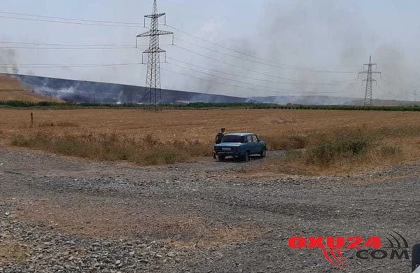 Göyçayın 3 kəndində 100 hektara yaxın otlaq və taxıl sahələri yanır (FOTOLAR)