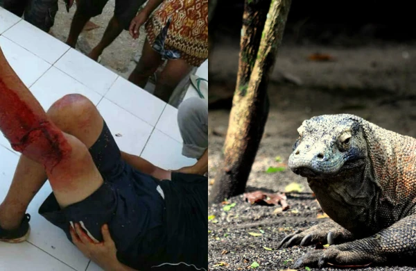 Dəhşətli video: Zəhərli heyvan kişinin ayağını belə gəmirdi