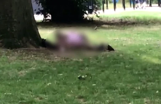 Parkda cinsi əlaqəyə girən gənclər kameraya düşdü