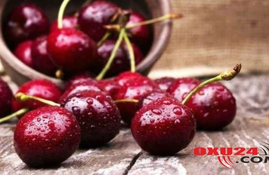 Rusiya Azərbaycandan tonlarla meyvə-tərəvəz idxalına qadağa qoydu