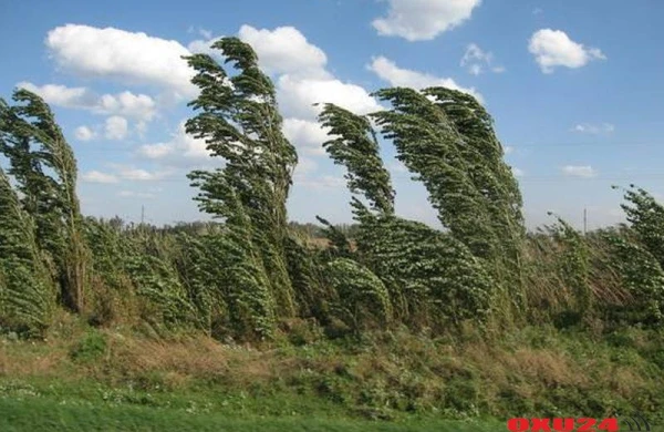 Qərb rayonlarında güclü külək əsir, Gədəbəyə DOLU YAĞIB