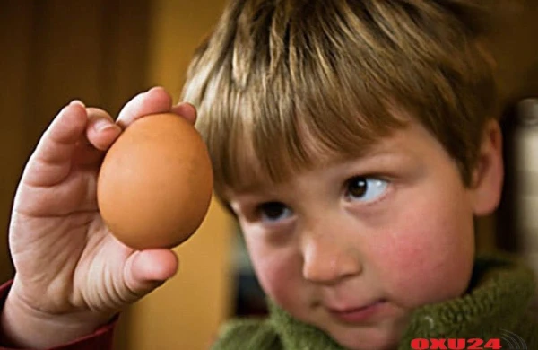 Uşağa hər gün bir yumurta yedizdirin