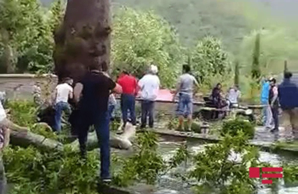 Şəkidə Xan Çinarının budaqlarının qırılmasının ilkin səbəbi məlum olub