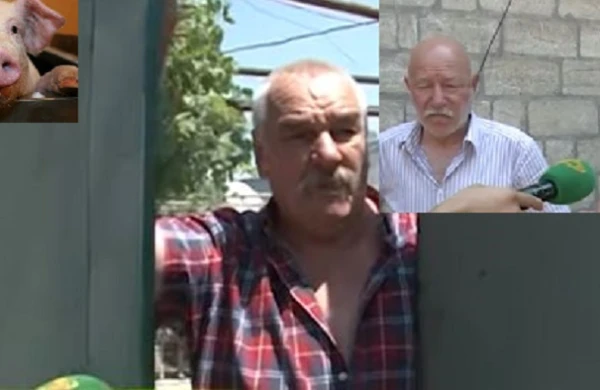 Bakıda donuza görə qonşular arasında kütləvi dava:"Dilini qoy qarnına"