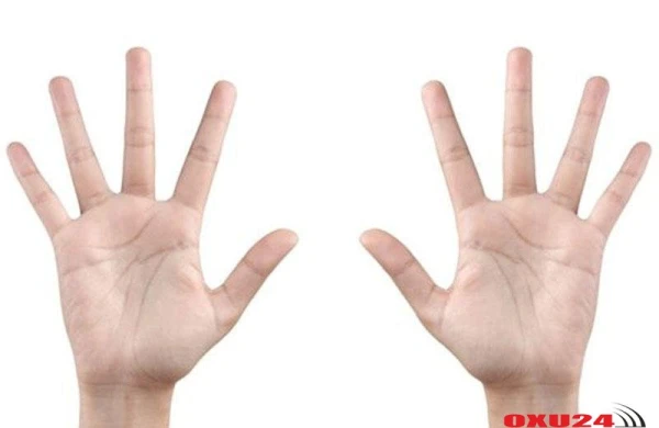 Əlləri niyə gündə bir neçə dəfə yuxarı qaldırmaq lazımdır?