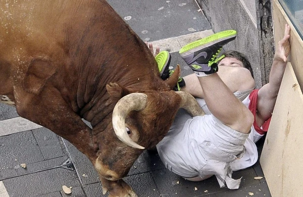 Öküz kişini buynuzunda havaya qaldırdı