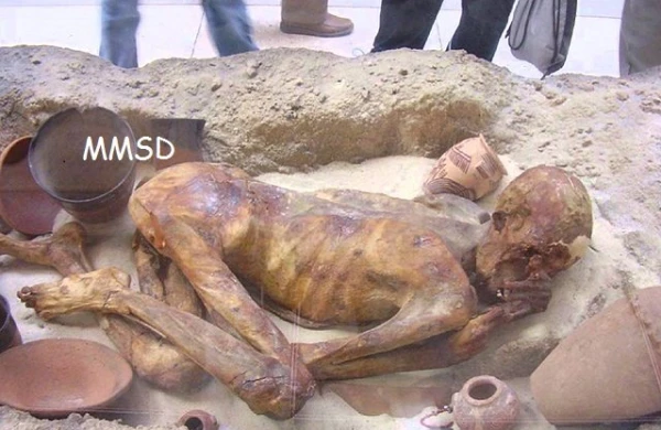 ŞOK FAKT: Cəsədi tətdiq edən alimlər şoka düşdü