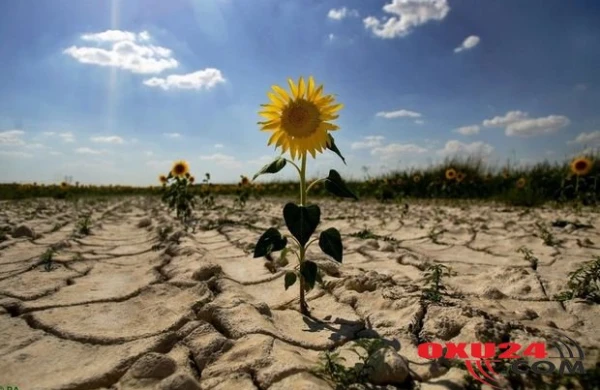 Azərbaycanda səhralaşma yayılır - Külək quraqlıq gətirir, ciddi fəsadları olacaq