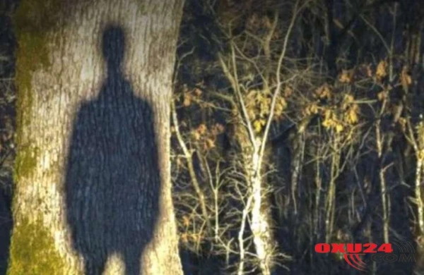 Cinlərlə 3 gün yaşayan mütəxəssis: "Əllərini sinəmdən götürəndən sonra nəfəs ala bildim"