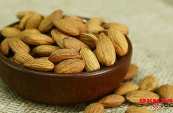 Bu meyvənin tumu xərçənglə mübarizədə möcüzələr yaradır - FOTO