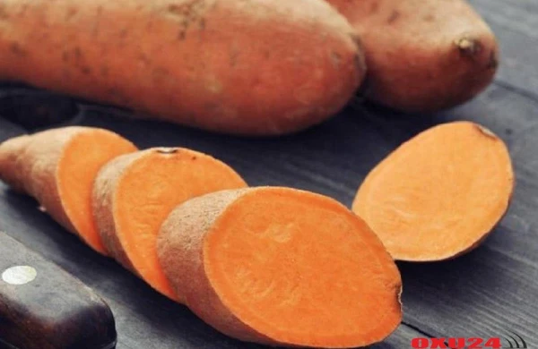 Kilosu 10 manata olan şirin kartof – Batat hansı xəstəliklərdə faydalıdır?