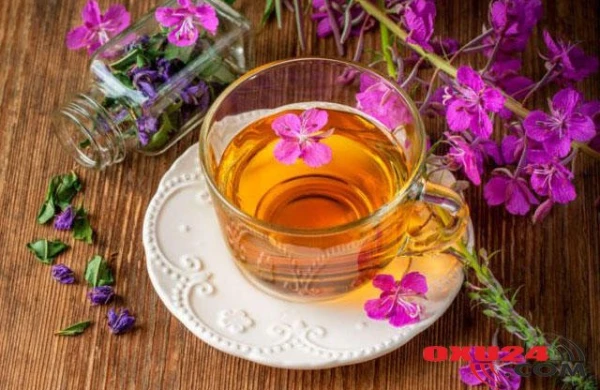 "KİŞİ OTU" çayı - Prostatit, adenoma, cinsi gücünün azalmasında içilir