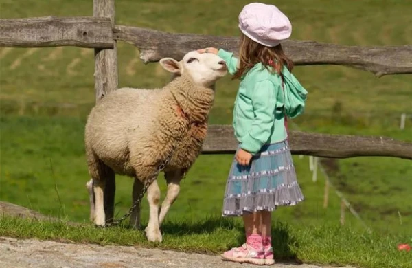 Qurbanı uşaqların gözü qarşısında kəsməyin! - İlahiyyatçı əhaliyə səsləndi