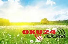 Güclü külək əsəcək.. - İstirahət gününün havası