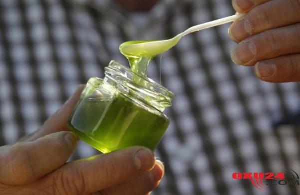 Cəmi 2 çay qaşığı və həyatın dəyişəcək – Xoradan tutmuş xərçəngə kimi Möcüzə təsir