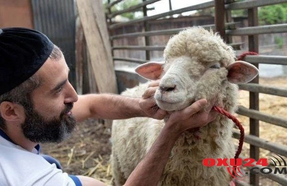 Qurban ətini satmaq olar? - İlahiyyatçıdan QEYRİ-ADİ CAVAB