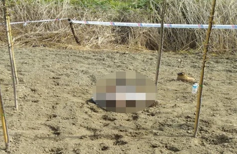 Azərbaycanda QORXUNC HADİSƏ: Bakıdan Nabrana getdi - Daşla öldürüldü