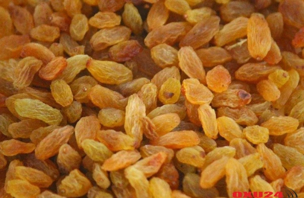 Ən güclü təbii öskürəkkəsicinin nə olduğunu bilirdinizmi?