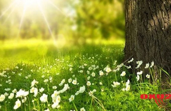 Avqustun 20-nə olan hava proqnozu