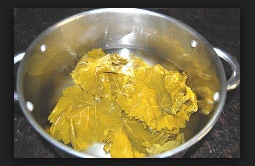 Yaxınlarınızı spirtli içkilərdən diksindirmək və birdəfəlik tərgitmək istəyisiniz?-2 üzüm yarpağı kifayətdir