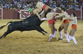 Şok görüntü: Öküz kişini sürüyüb öldürdü