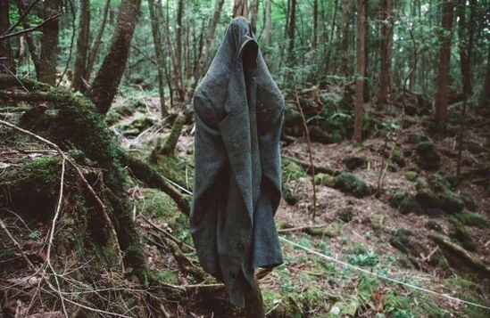 Cəsədlərlə dolu meşə… – Buraya girən özünü öldürür