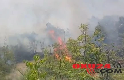 Qubada dağlıq ərazidə yanğın başlayıb