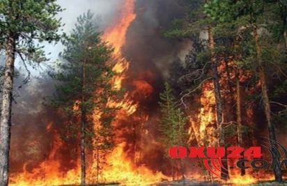 İki helikopter və təyyarə cəlb edildi – Daha bir rayonda meşə yanır