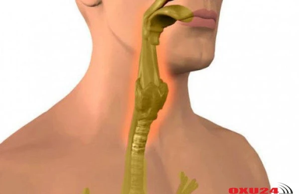 Orqanizmi yapışqanlı selikdən təmizləmək üsulu - Çox xəstəliklərin səbəbi budur