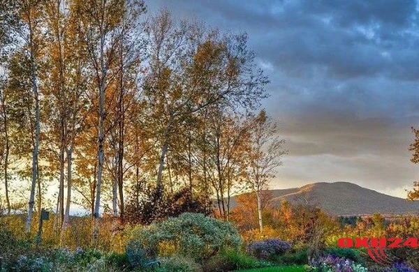 Azərbaycanın bəzi yerlərində temperatur 8 dərəcəyə kimi enəcək - SABAHIN HAVASI