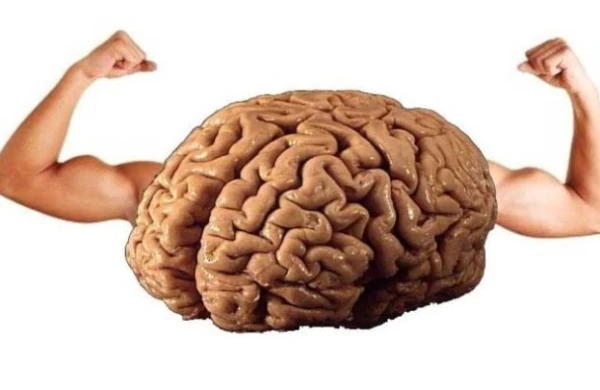 Beynimizi gücləndirmək üçün nələr etməliyik?