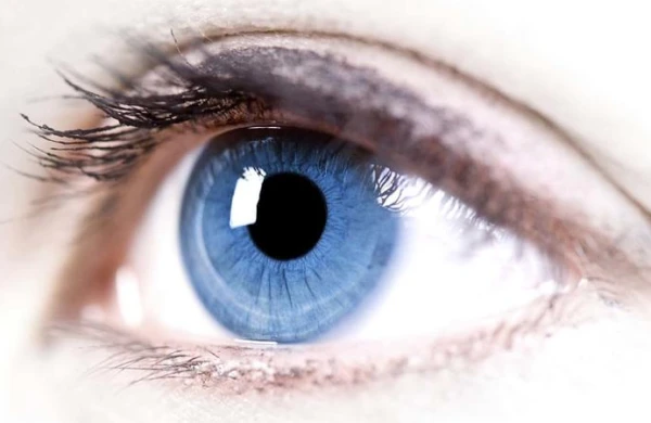 Görmə zəifliyindən əziyyət çəkənlər üçün XƏBƏR