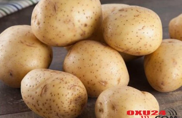 DÜKANLARDA SATILAN YUYULMUŞ TƏRƏVƏZLƏRI ALMAYIN! - XƏBƏRDARLIQ