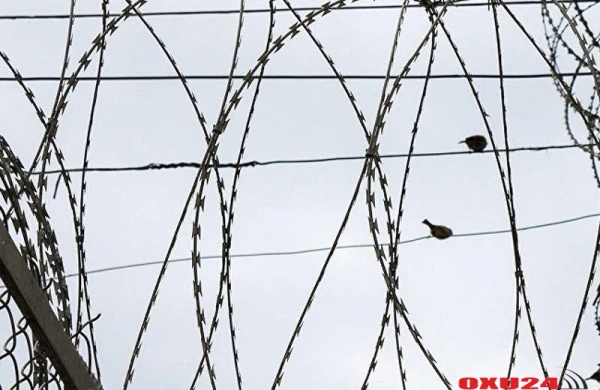 Həmkəndlilərinin bacısına sataşdığını eşitdi, dəliyə döndü - Xaçmazda cinayət